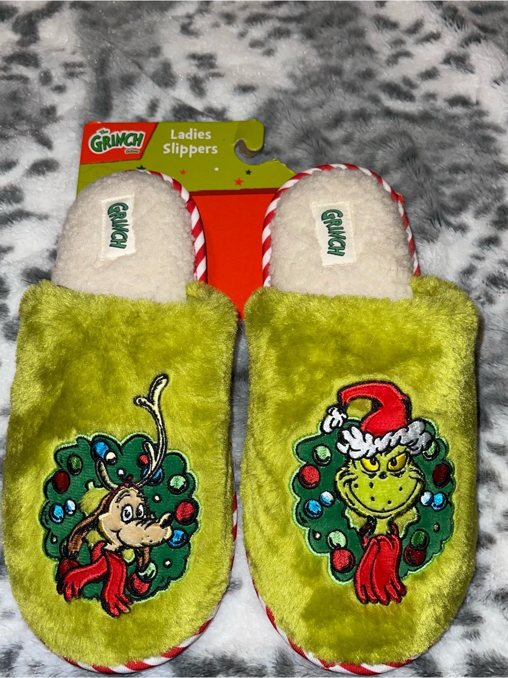 Dr. Seuss slippers